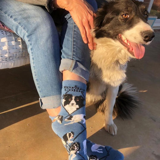 Border Collie Socks for Women | Perfect Dog Lovers Gift